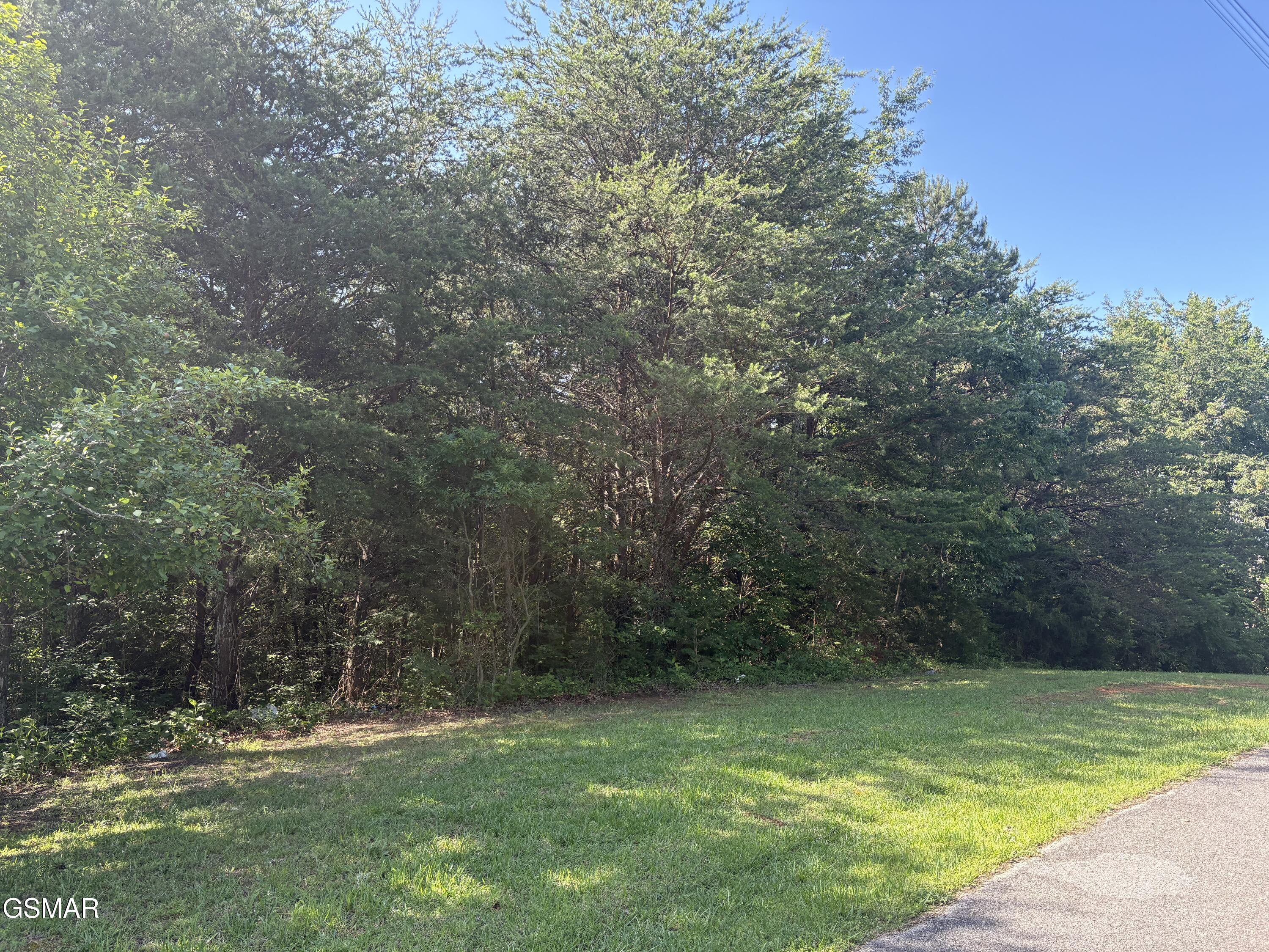 Lot 6 Shiner Run Drive Newport TN 37821