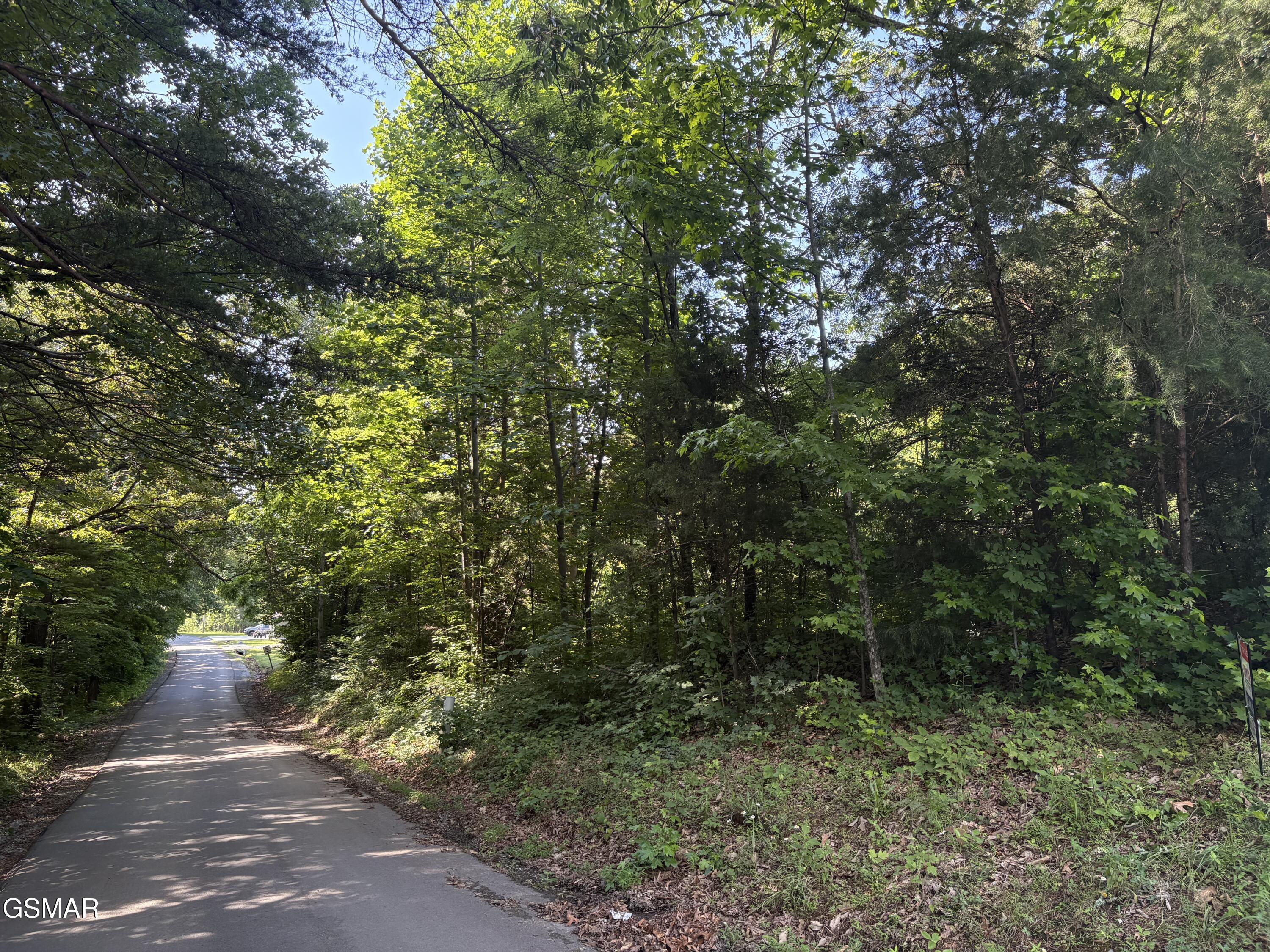 Lot 6 Shiner Run Drive Newport TN 37821
