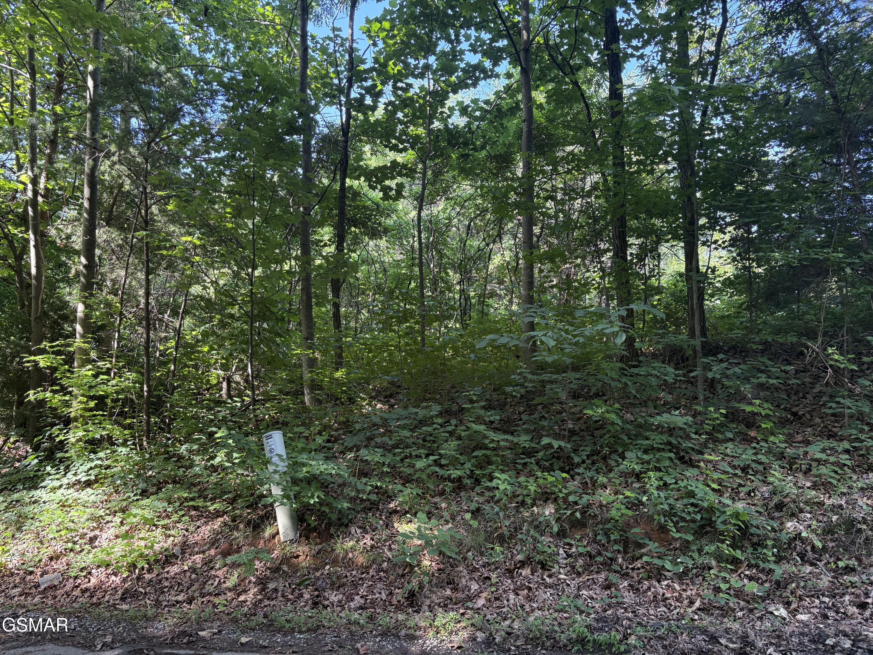 Lot 6 Shiner Run Drive Newport TN 37821