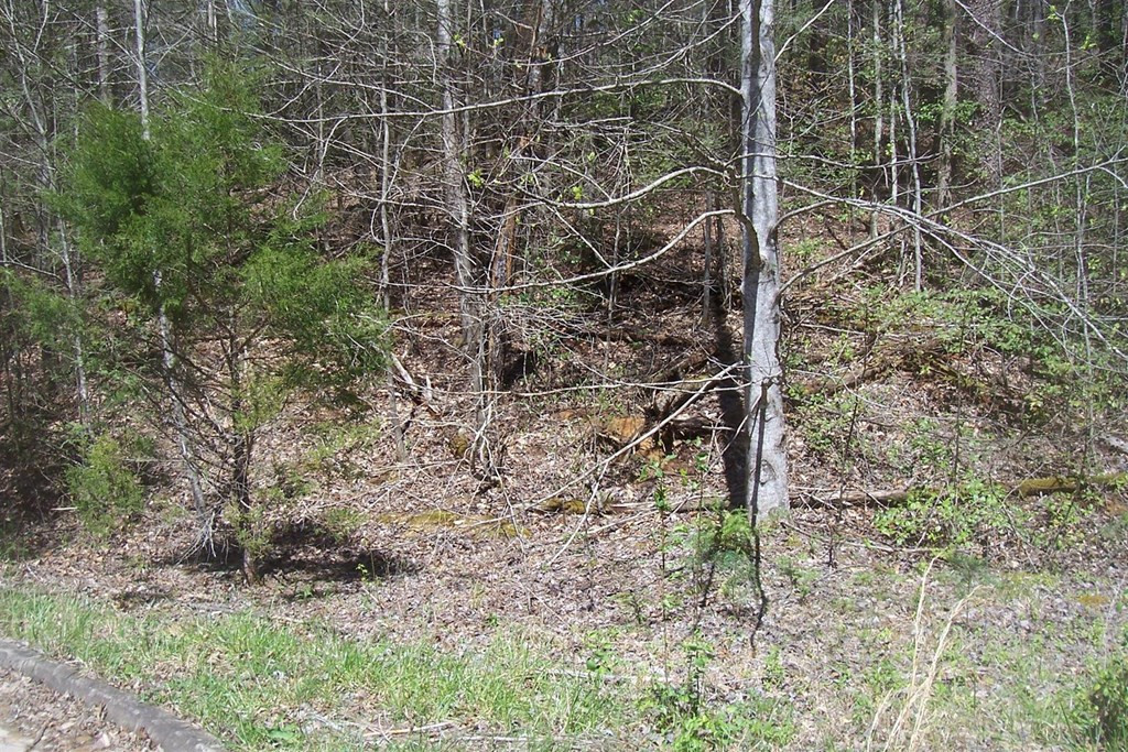 Lot 8 Rail Hill Lane Sevierville TN 37876