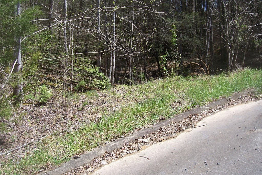 Lot 8 Rail Hill Lane Sevierville TN 37876