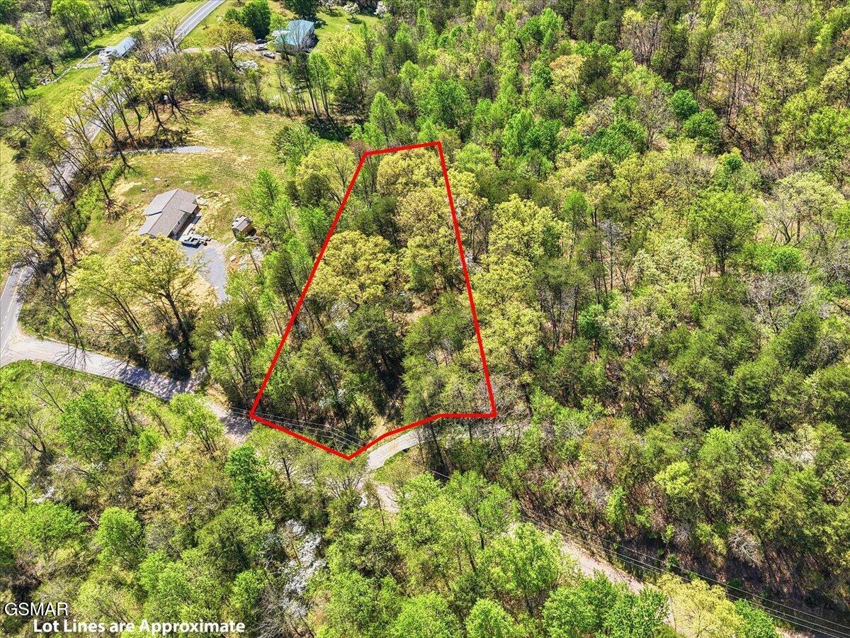 0 Dark Hollow Road Cosby TN 37722