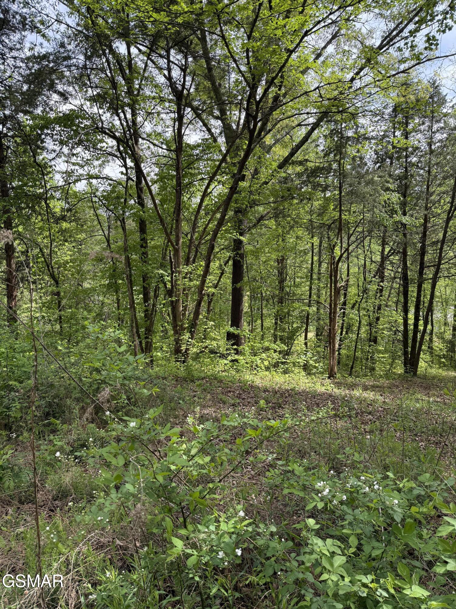 0 Dark Hollow Road Cosby TN 37722