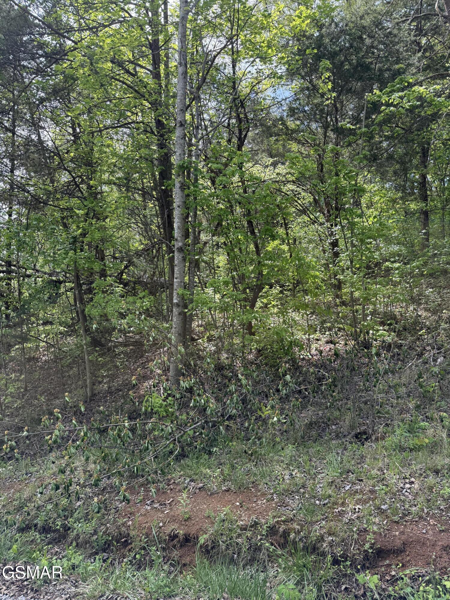 0 Dark Hollow Road Cosby TN 37722