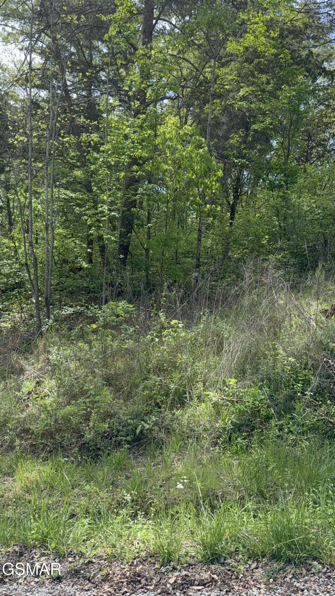 0 Dark Hollow Road Cosby TN 37722
