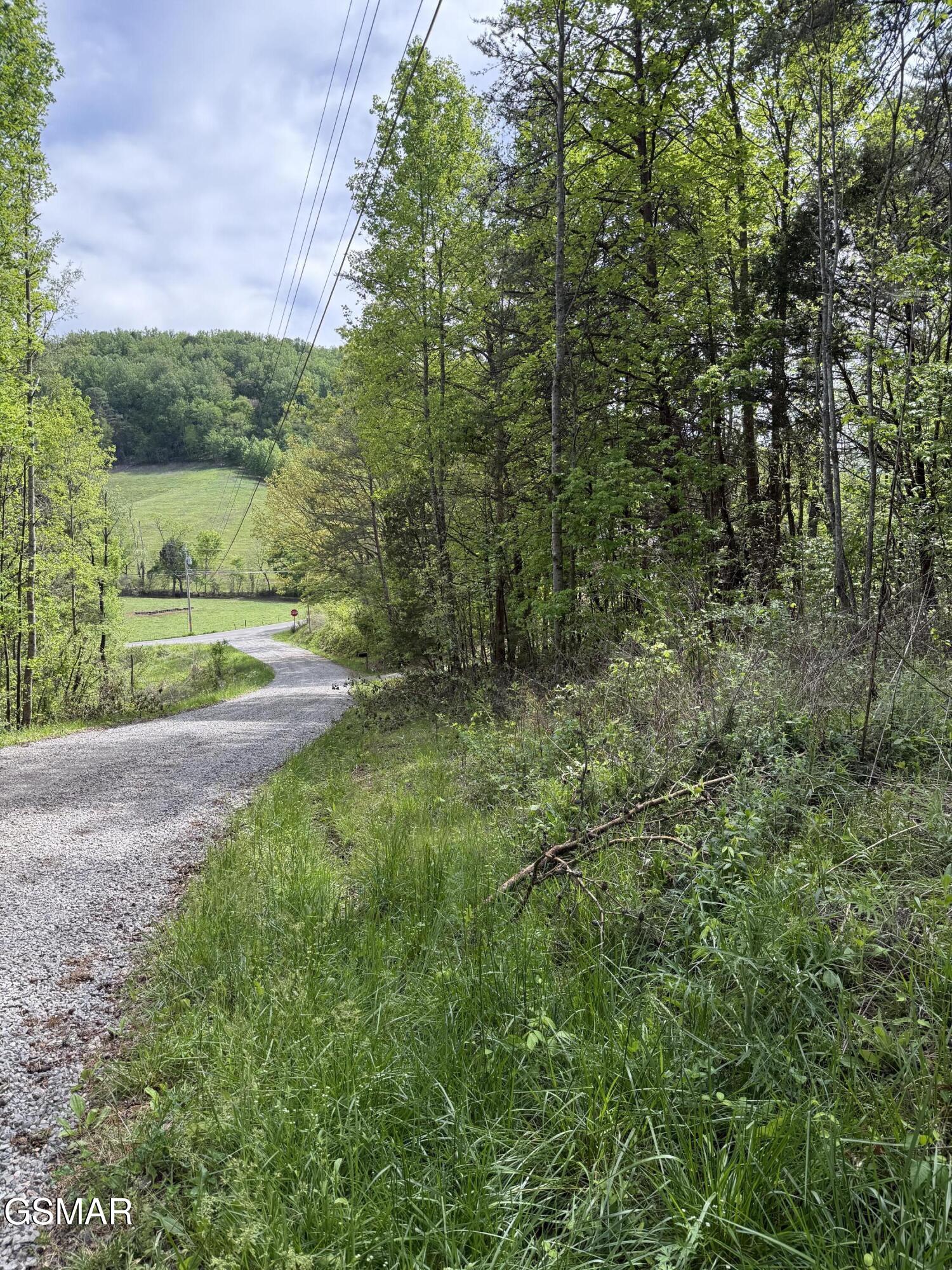 0 Dark Hollow Road Cosby TN 37722