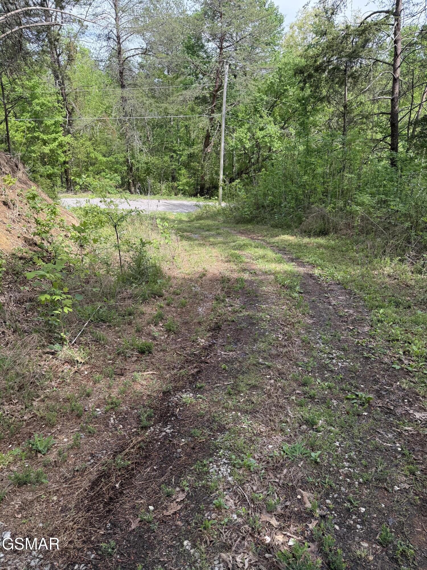 0 Dark Hollow Road Cosby TN 37722