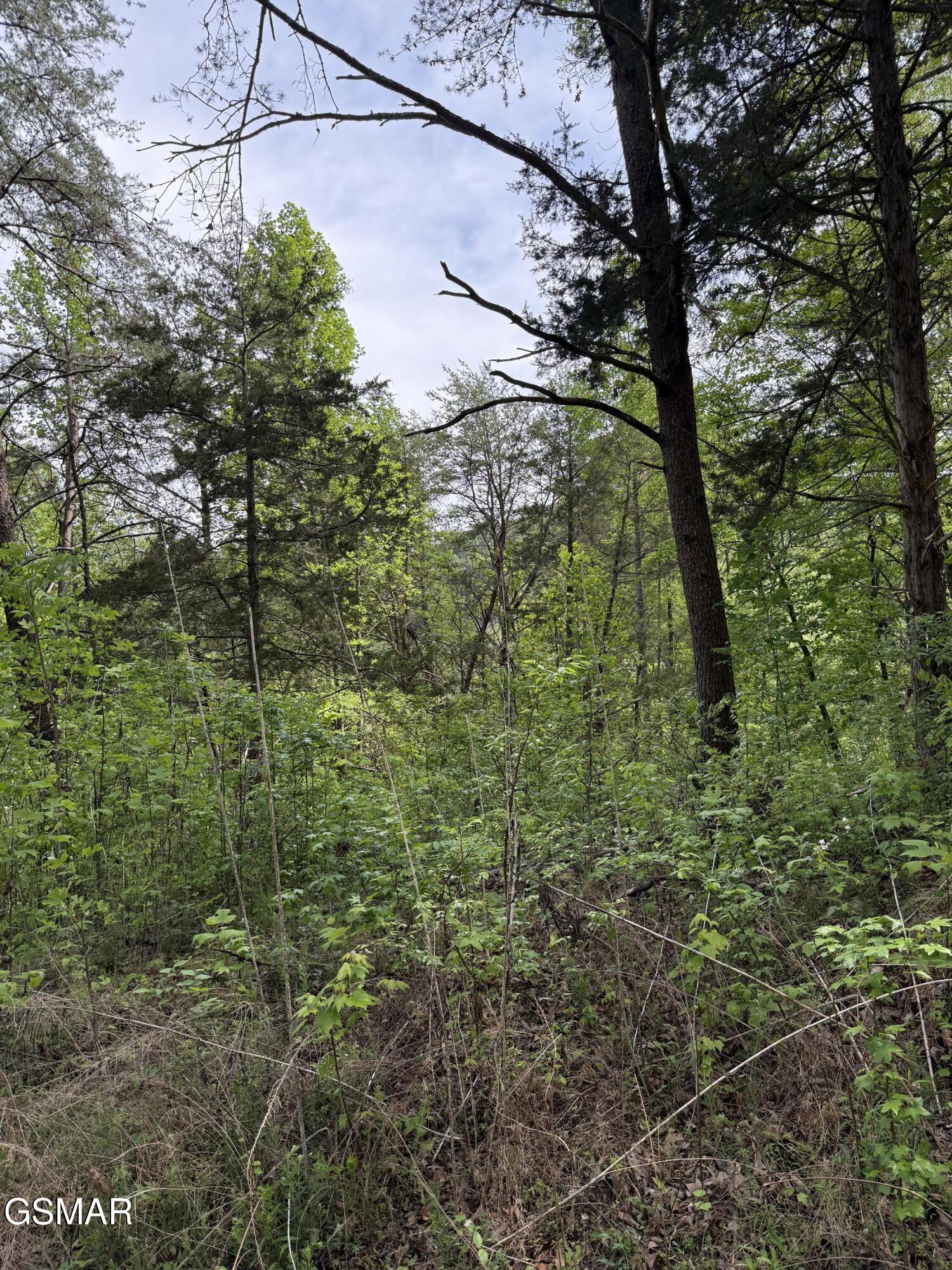 0 Dark Hollow Road Cosby TN 37722