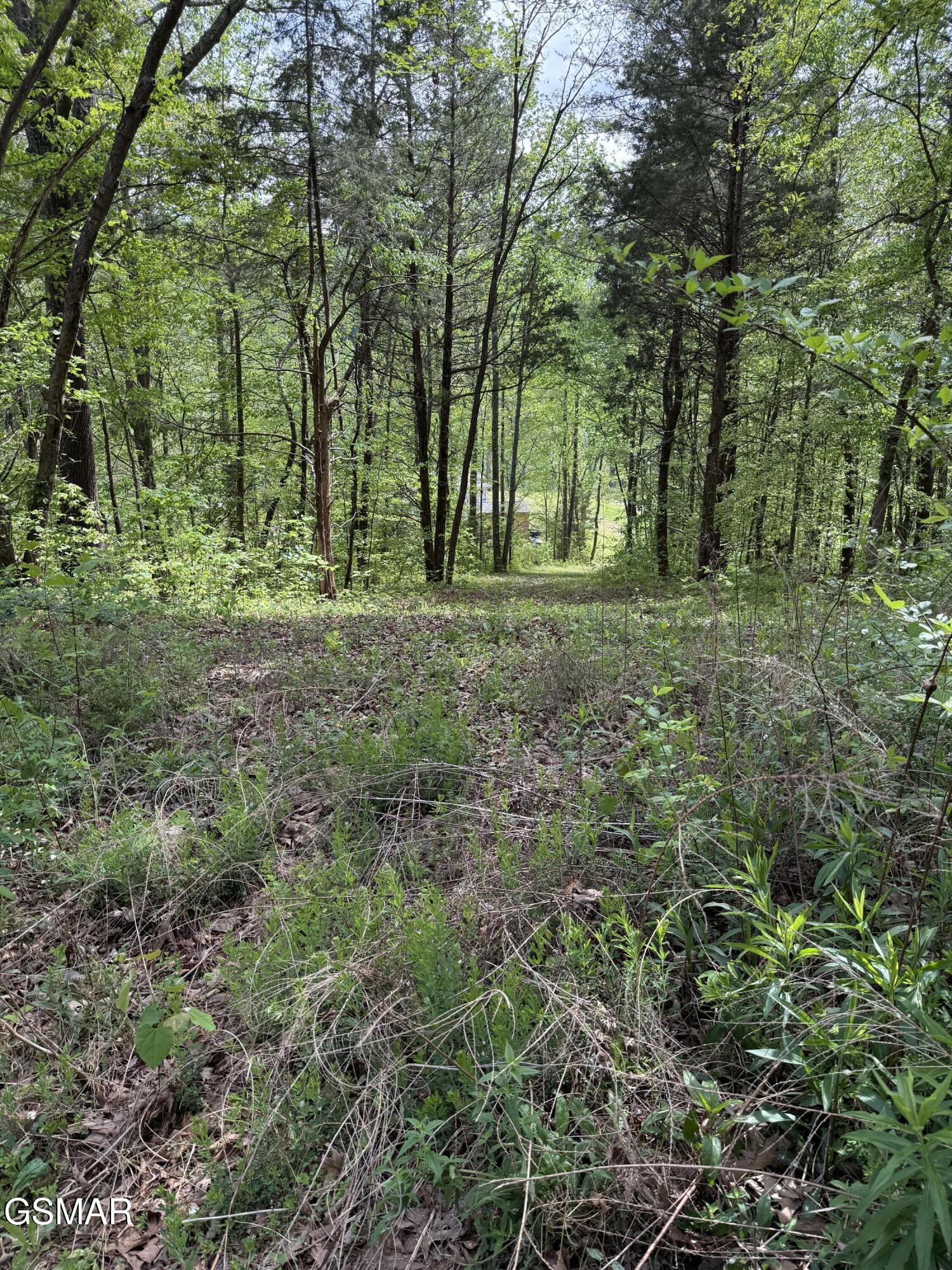 0 Dark Hollow Road Cosby TN 37722
