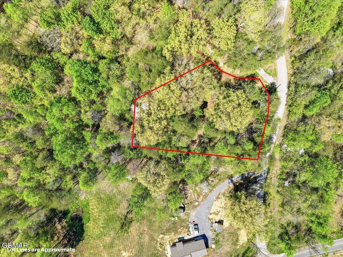 0 Dark Hollow Road Cosby TN 37722