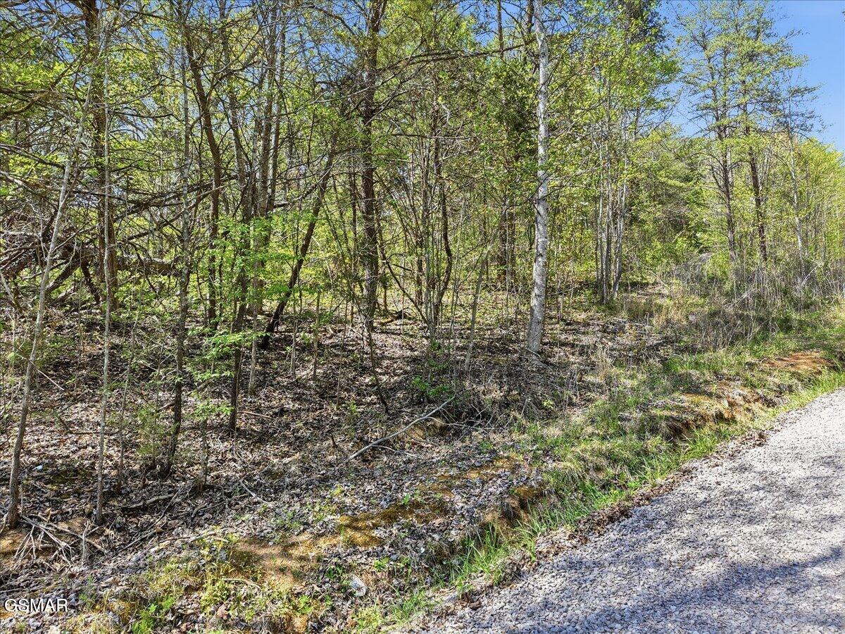0 Dark Hollow Road Cosby TN 37722