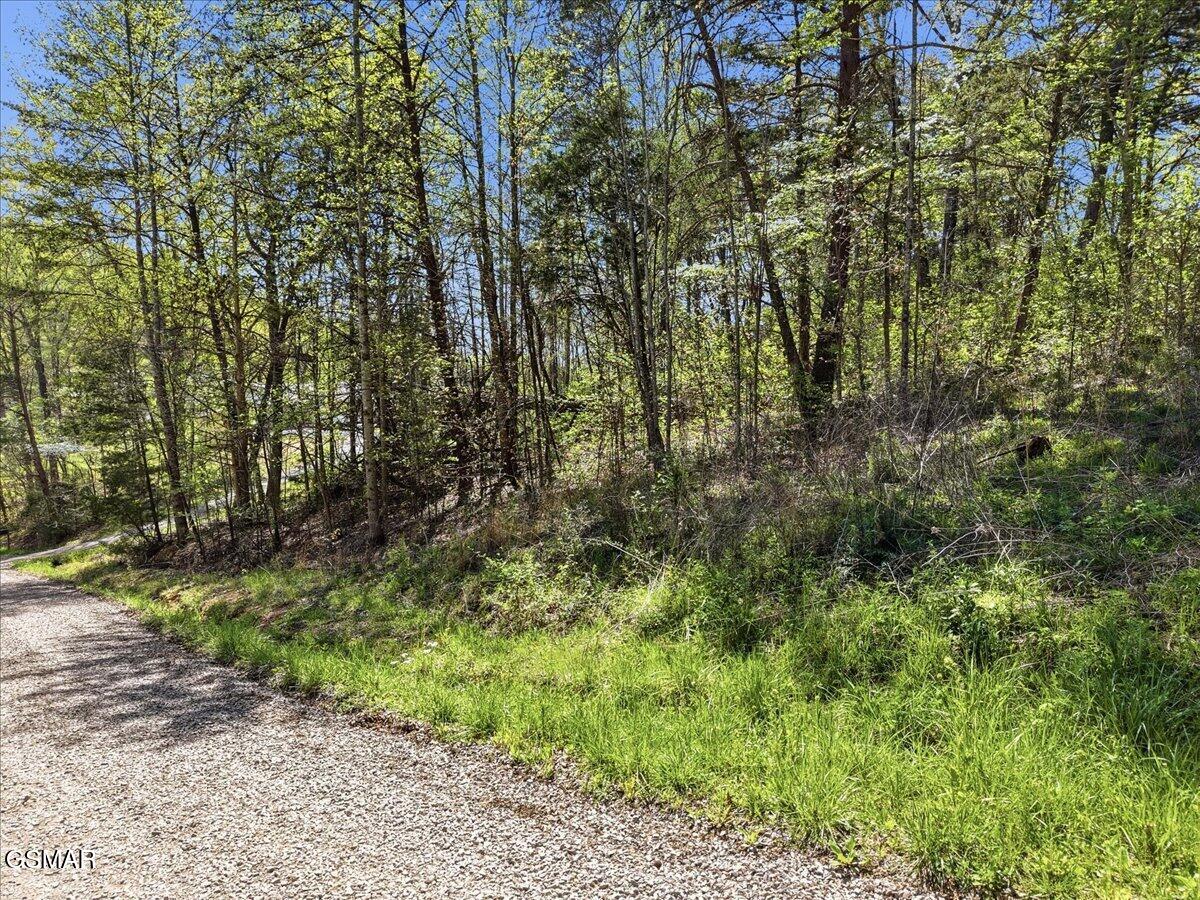 0 Dark Hollow Road Cosby TN 37722