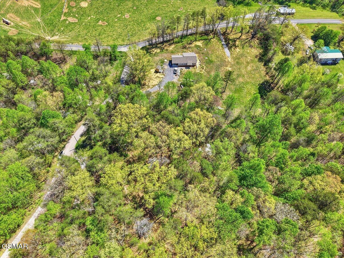 0 Dark Hollow Road Cosby TN 37722