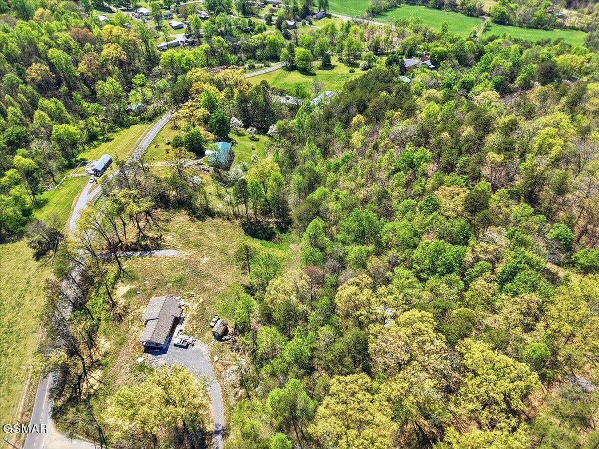 0 Dark Hollow Road Cosby TN 37722