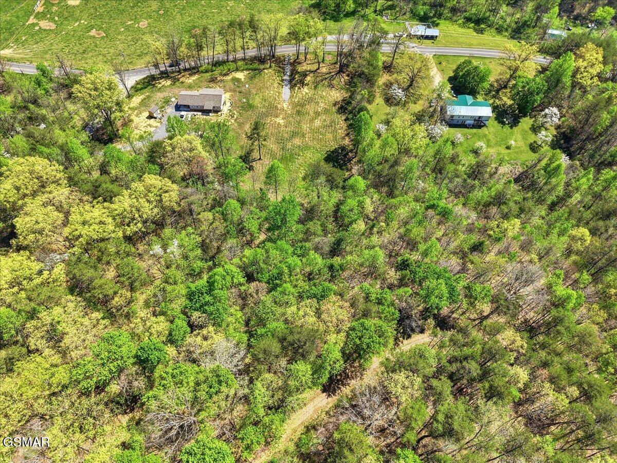 0 Dark Hollow Road Cosby TN 37722