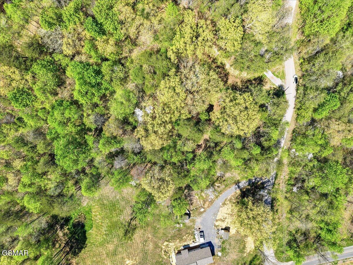 0 Dark Hollow Road Cosby TN 37722