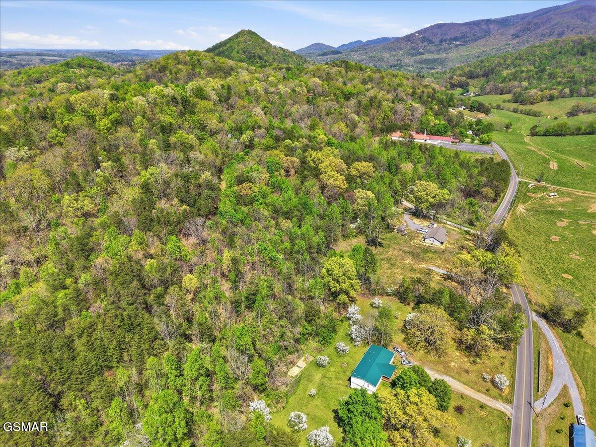 0 Dark Hollow Road Cosby TN 37722