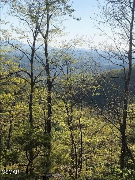 18 Red Maple Lane Sevierville TN 37876