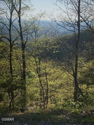 18 Red Maple Lane Sevierville TN 37876