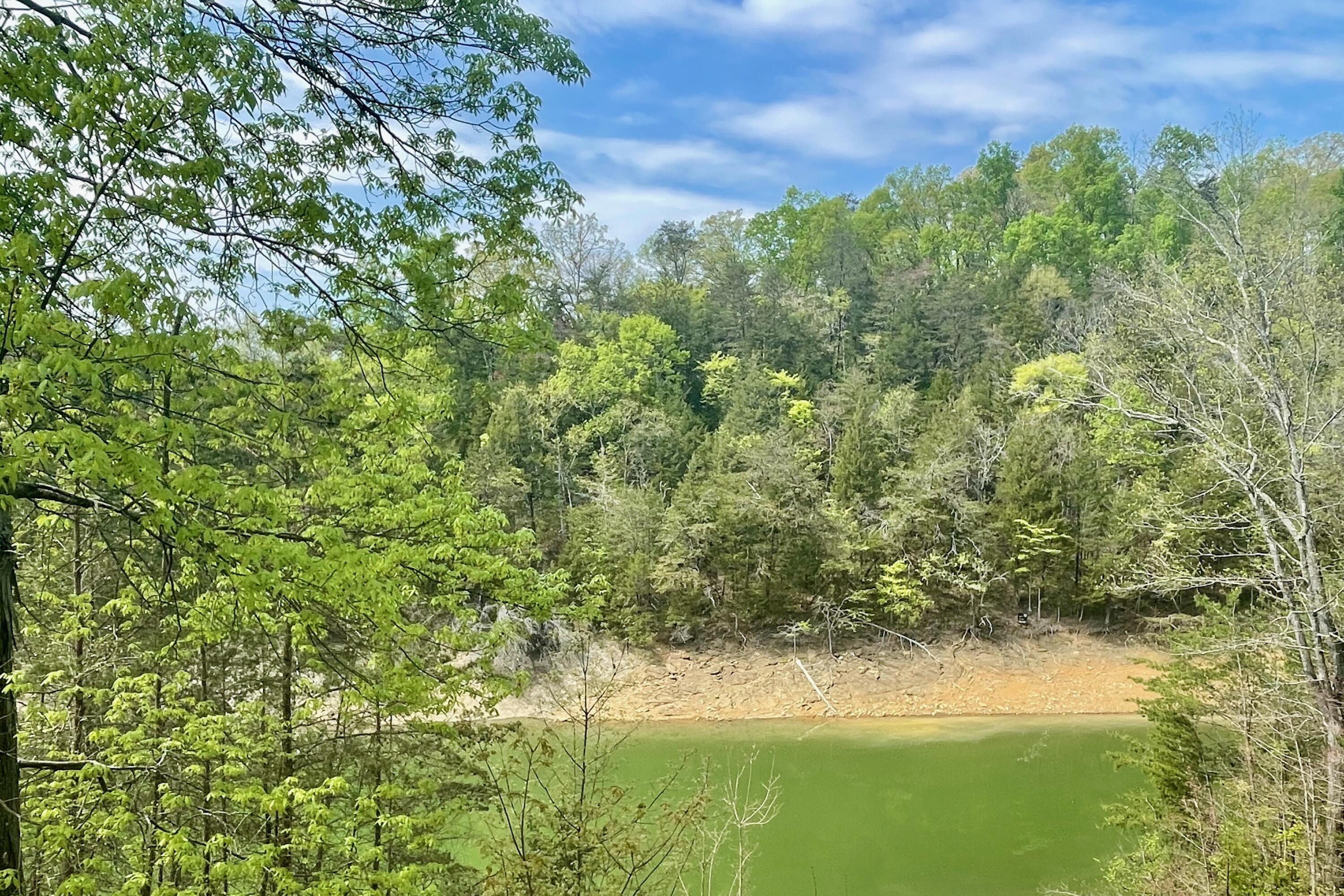 0 Aaron Street Sevierville TN 37876
