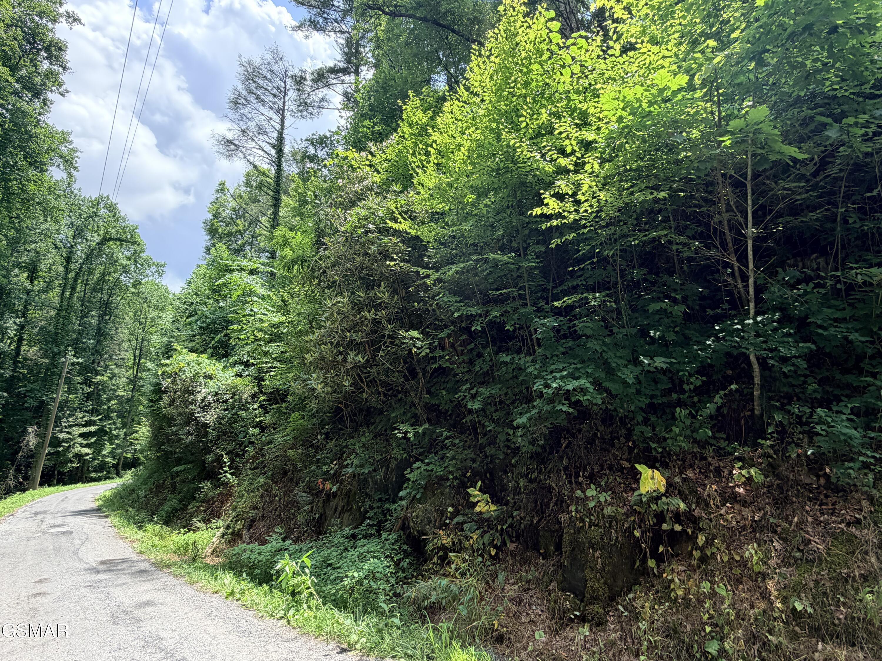 0 Gulf Road Hartford TN 37753