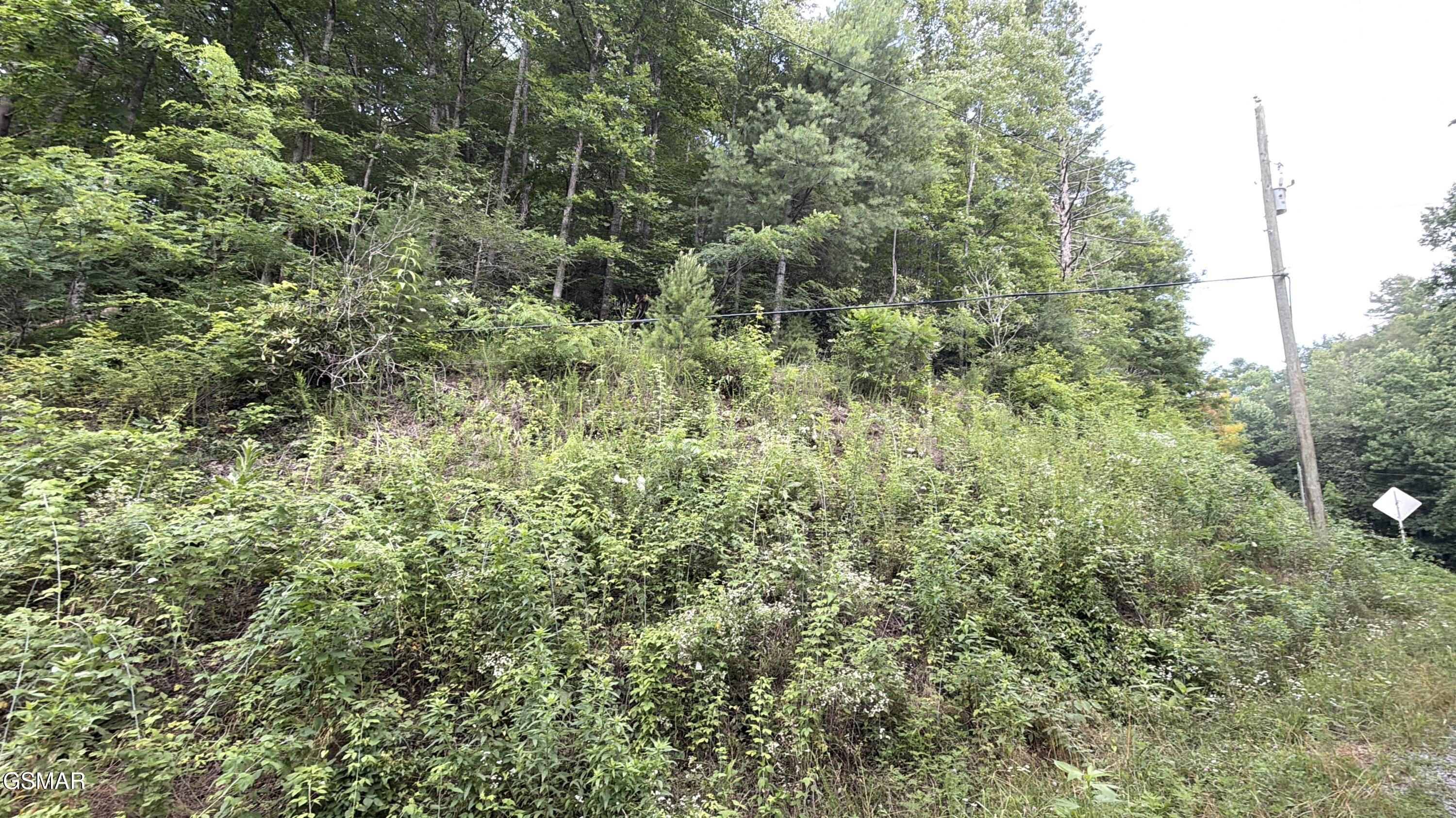 0 Gulf Road Hartford TN 37753