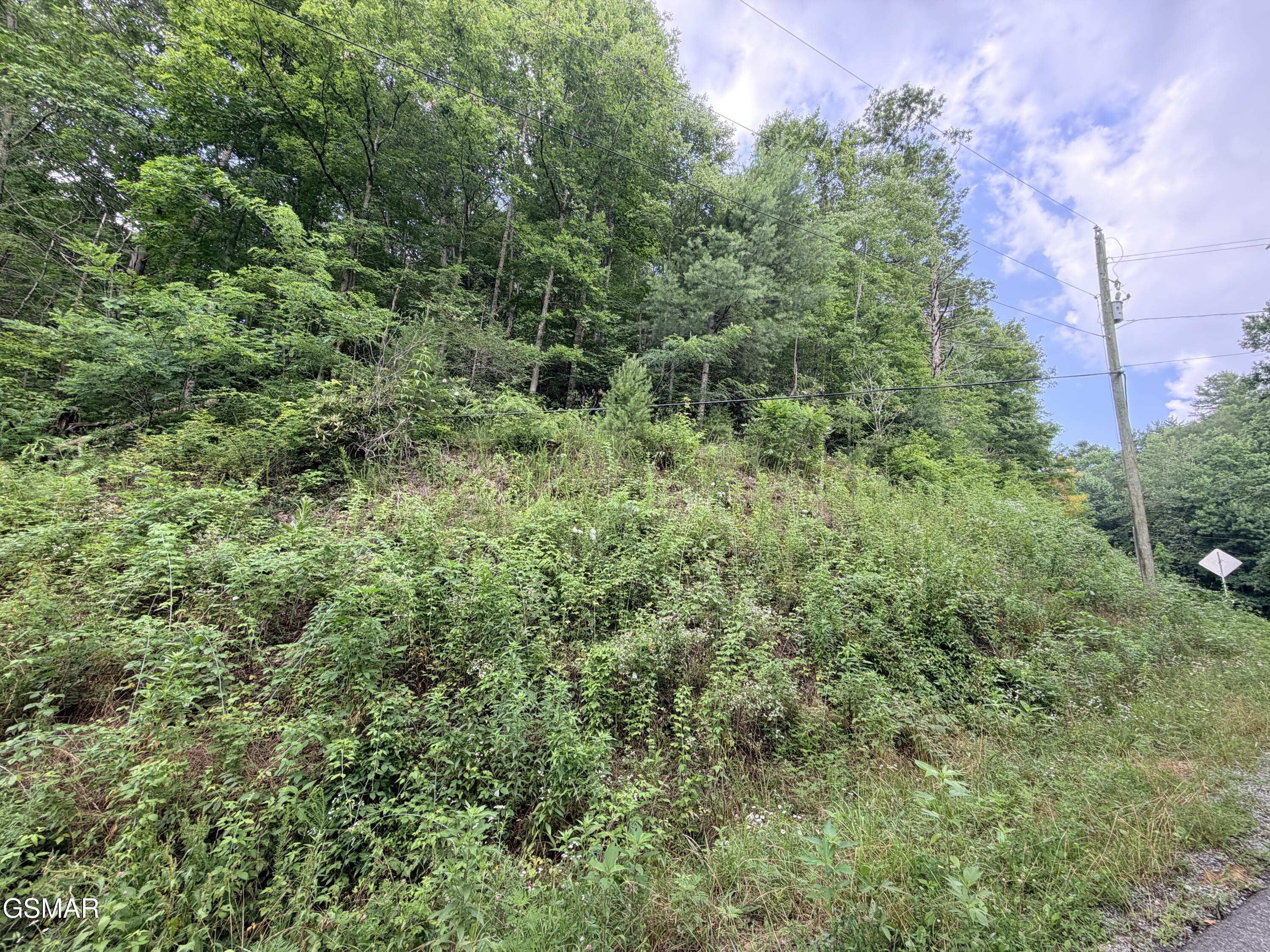 0 Gulf Road Hartford TN 37753