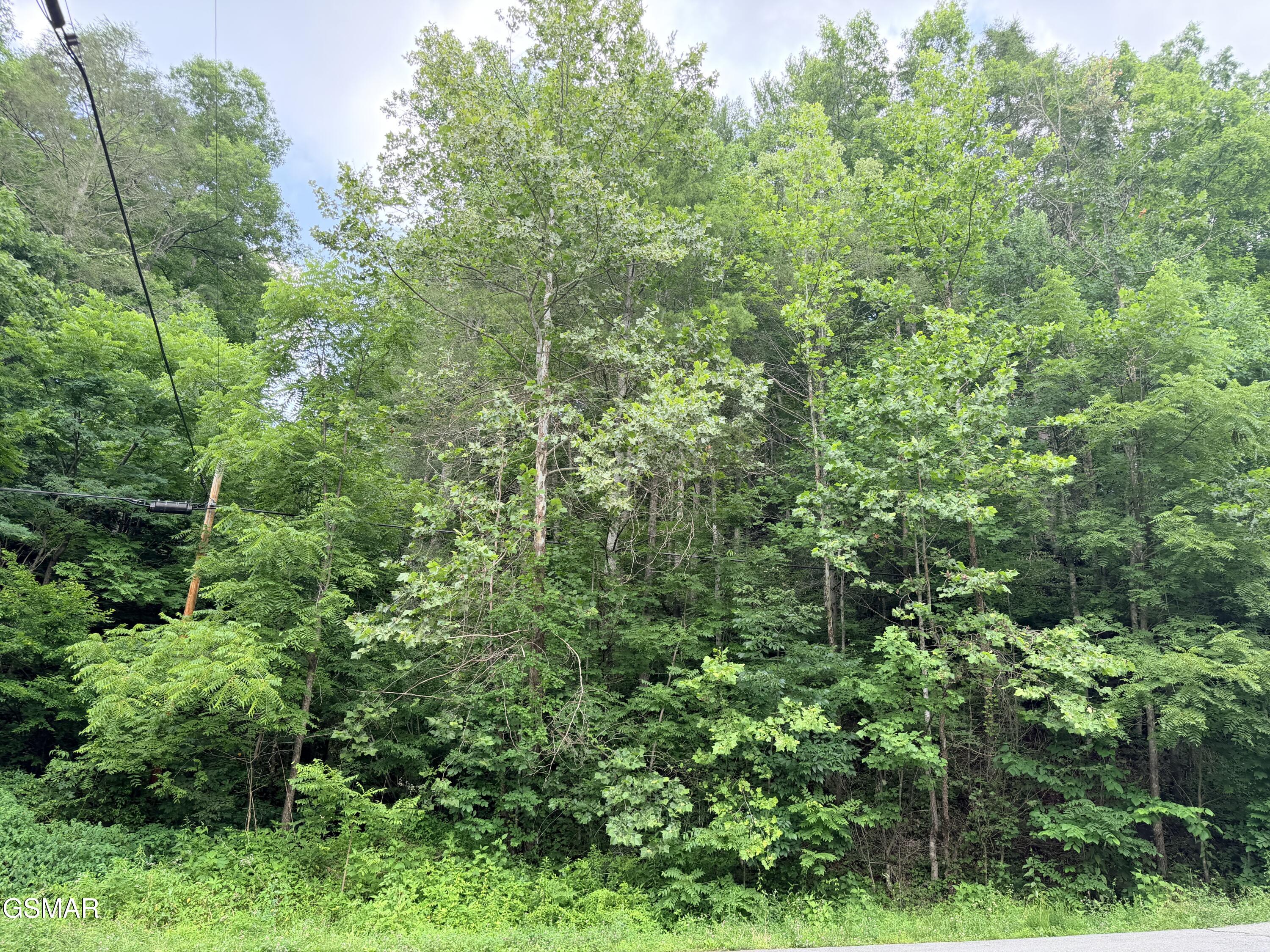 0 Gulf Road Hartford TN 37753