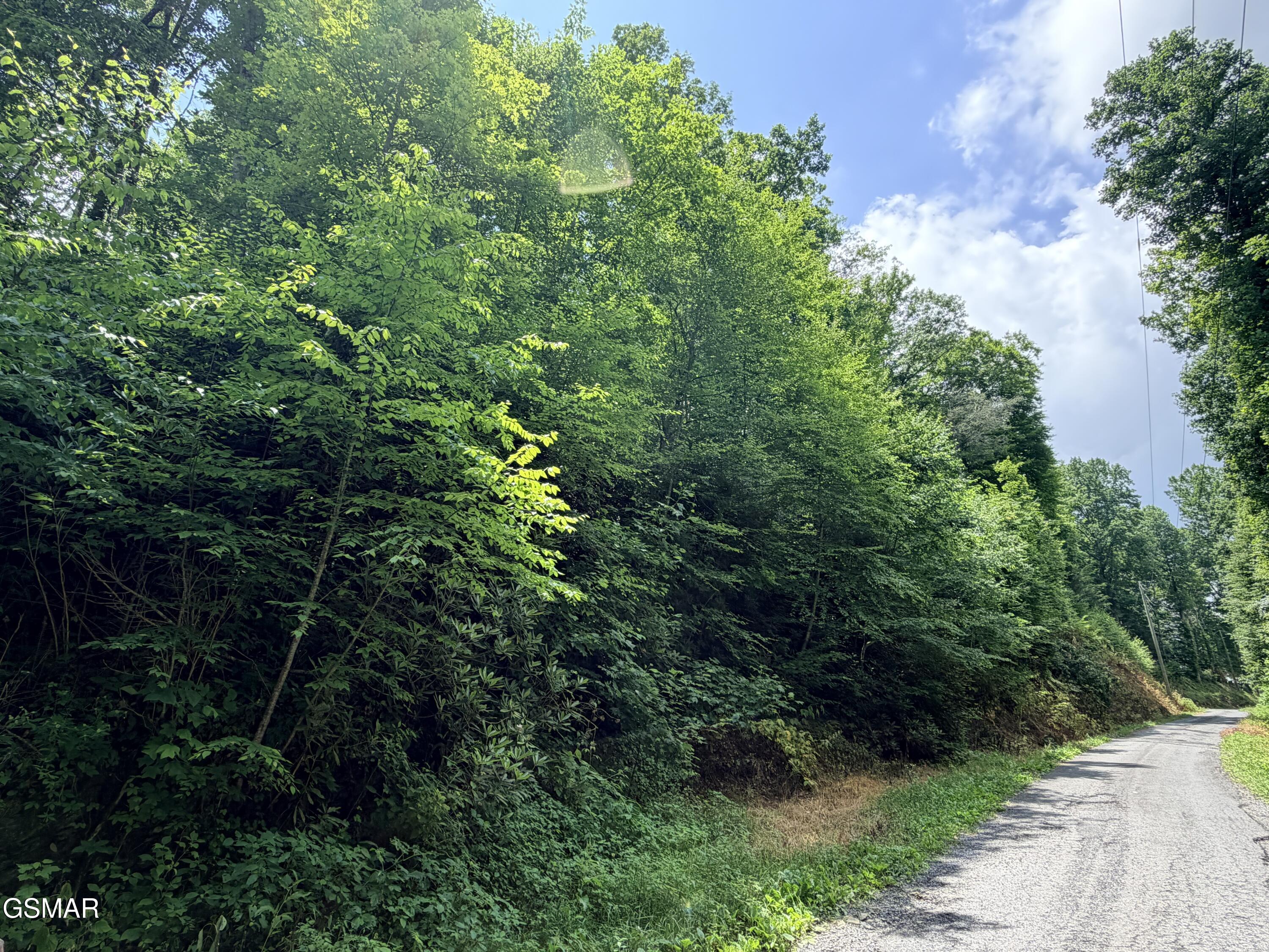 0 Gulf Road Hartford TN 37753