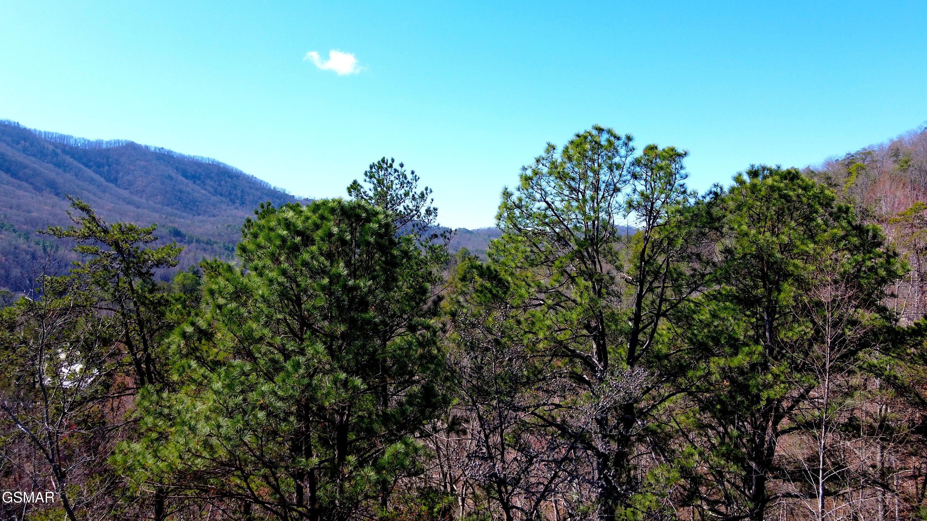 4 Walden Ridge Road Sevierville TN 37862