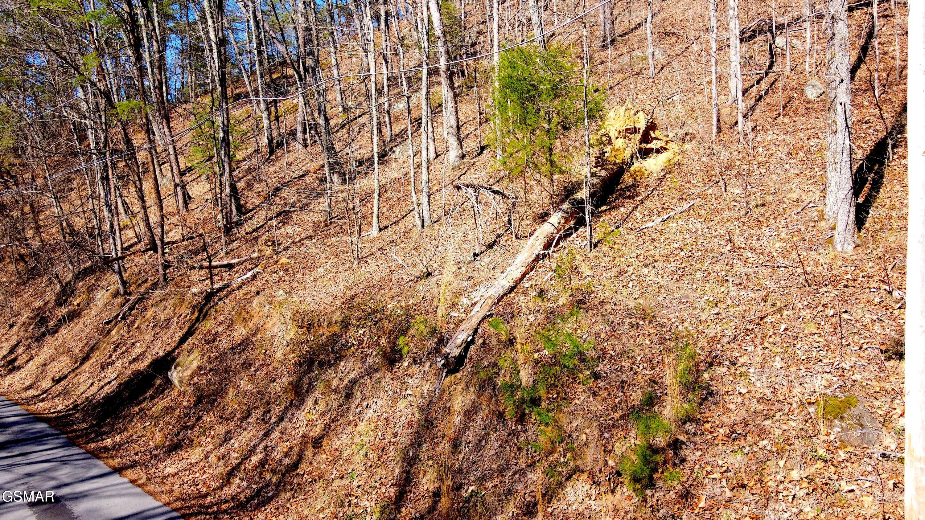 4 Walden Ridge Road Sevierville TN 37862
