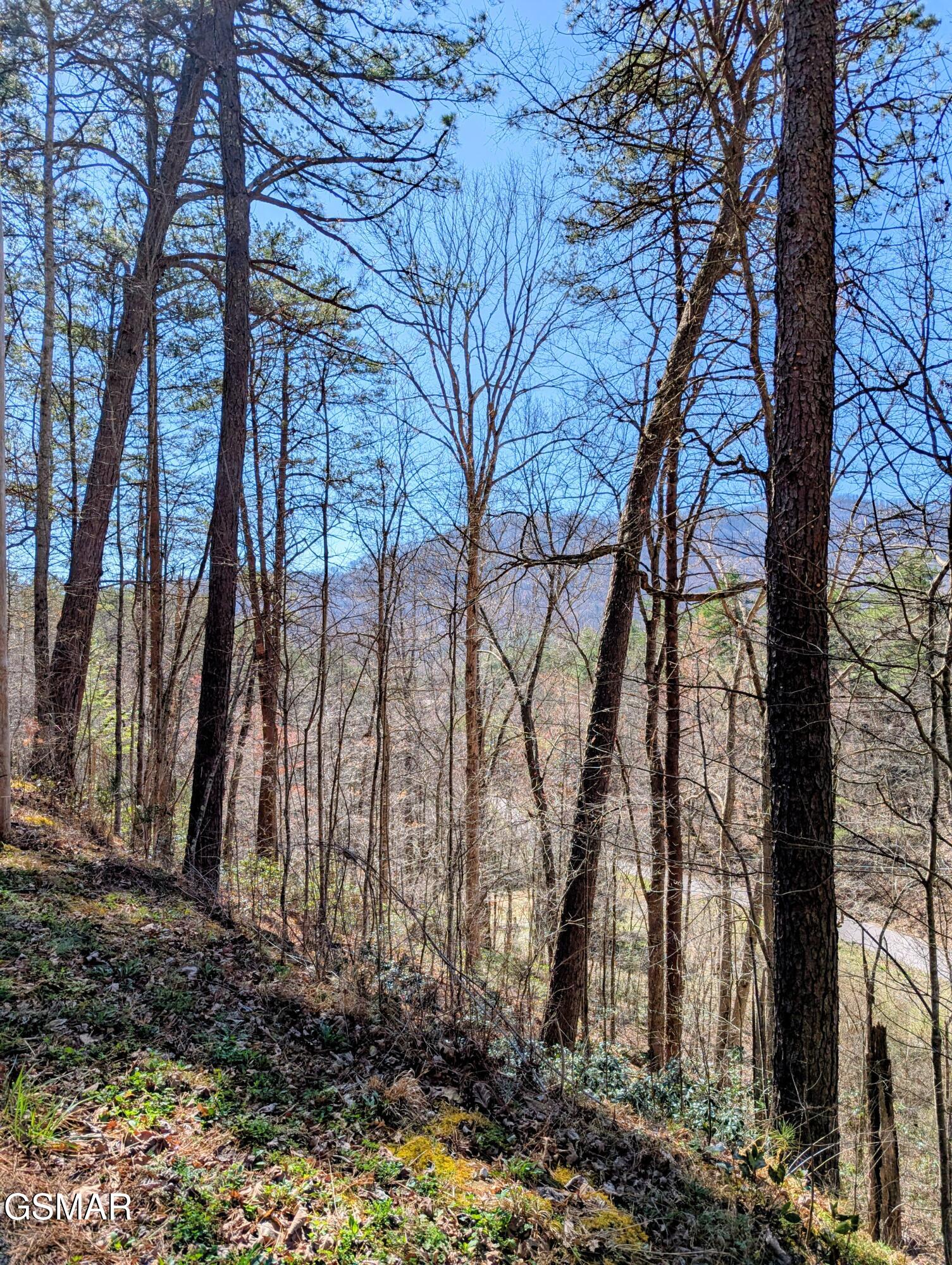 4 Walden Ridge Road Sevierville TN 37862