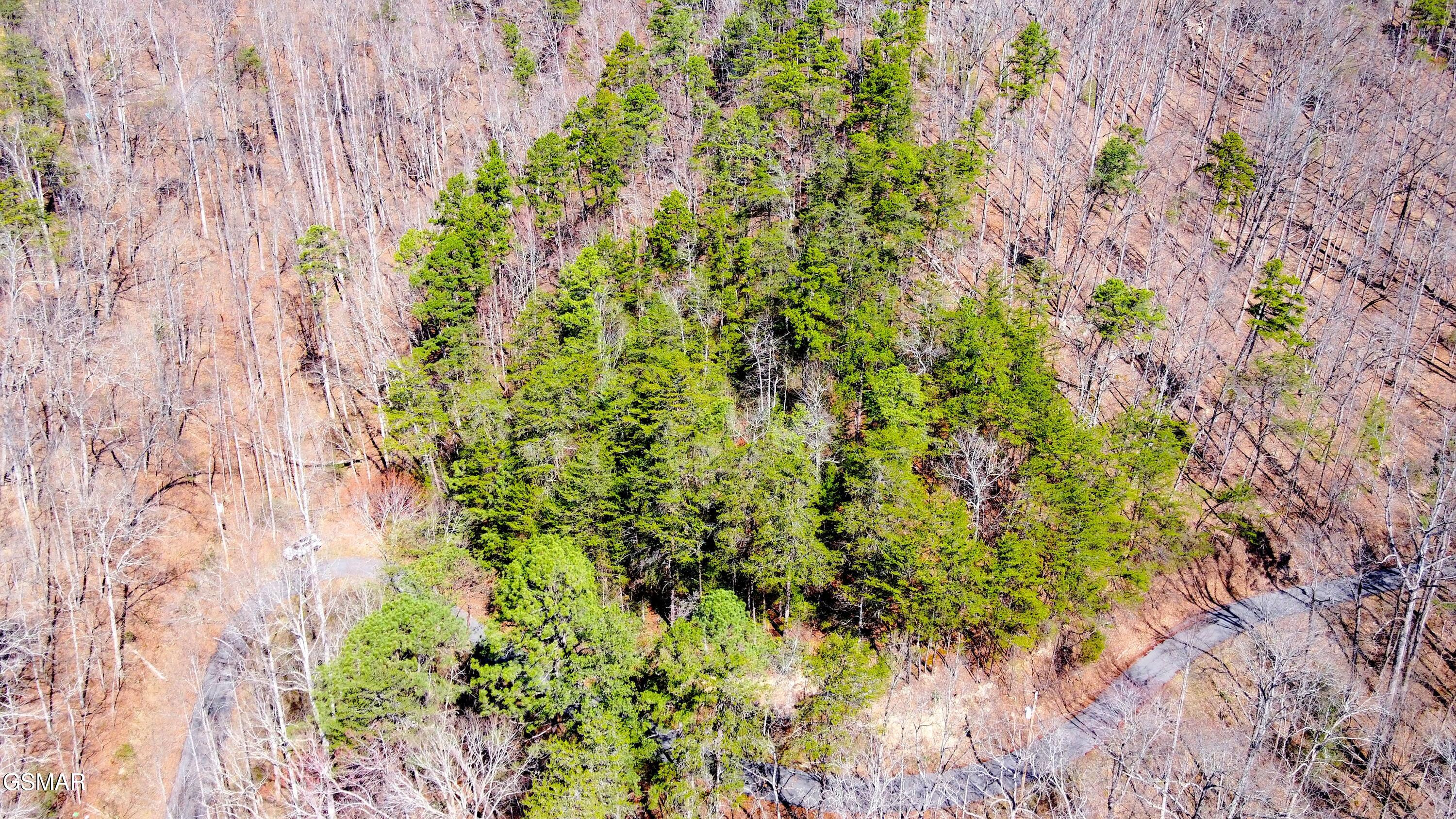 4 Walden Ridge Road Sevierville TN 37862