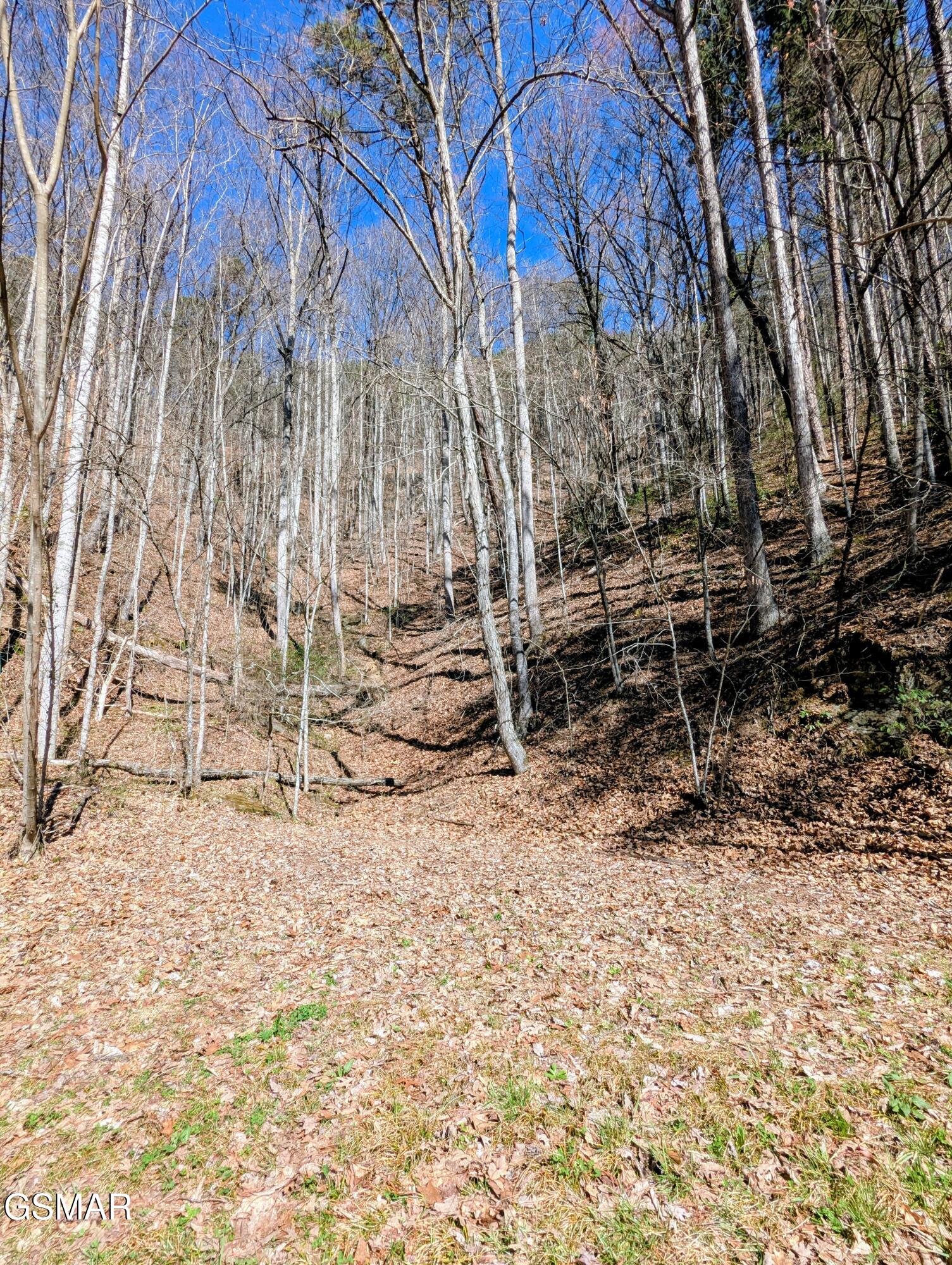 4 Walden Ridge Road Sevierville TN 37862