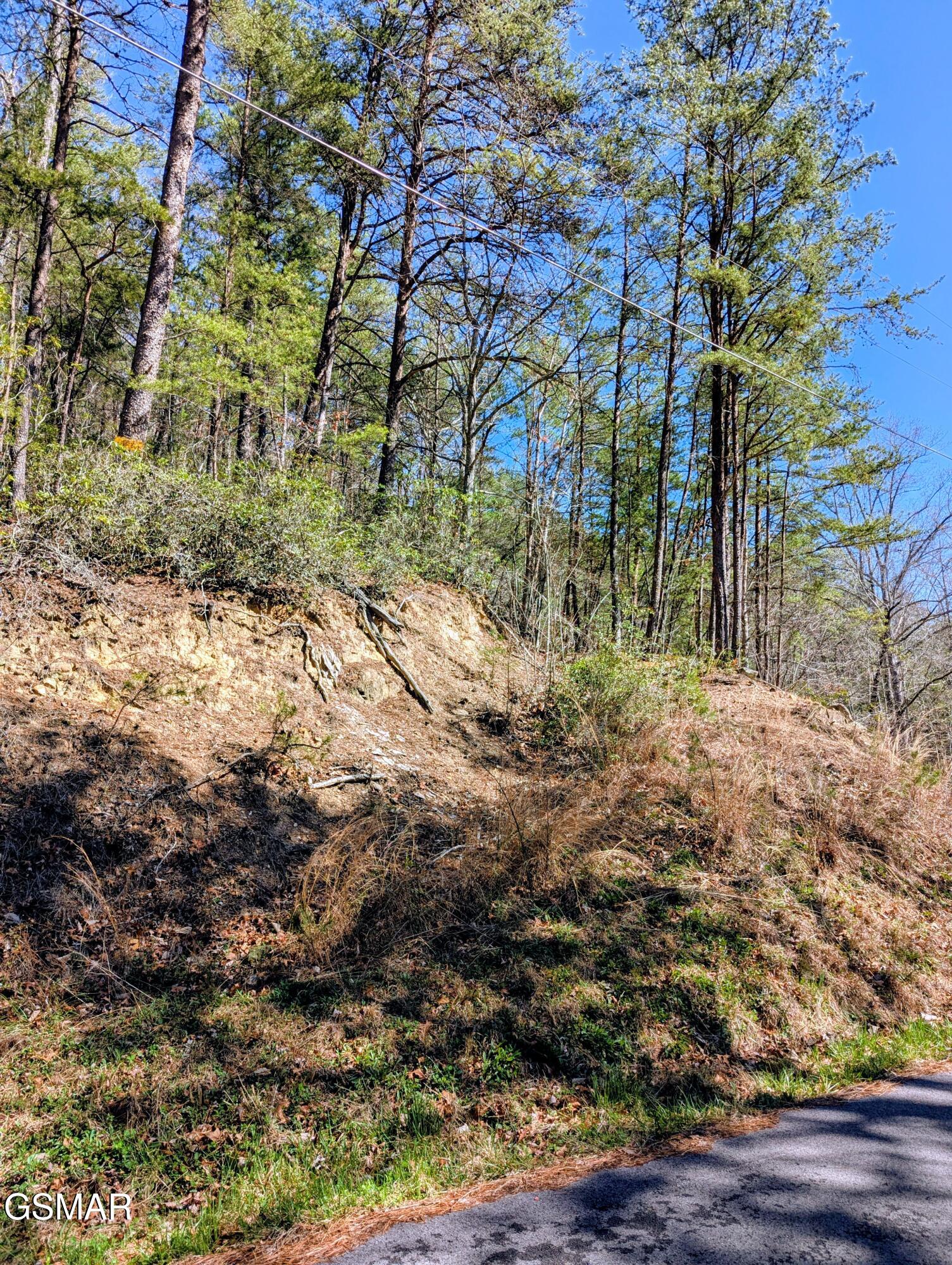 4 Walden Ridge Road Sevierville TN 37862