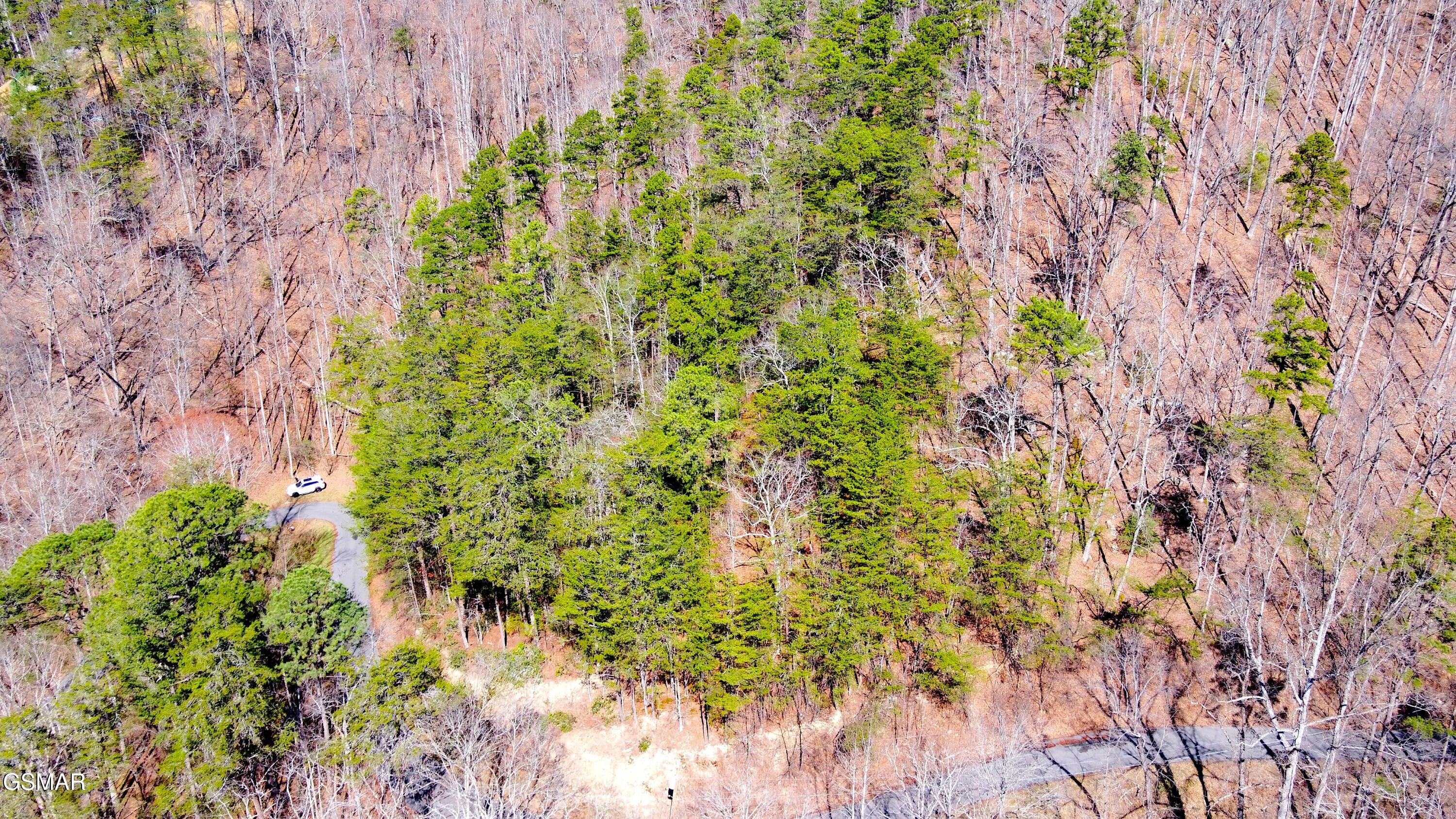 4 Walden Ridge Road Sevierville TN 37862