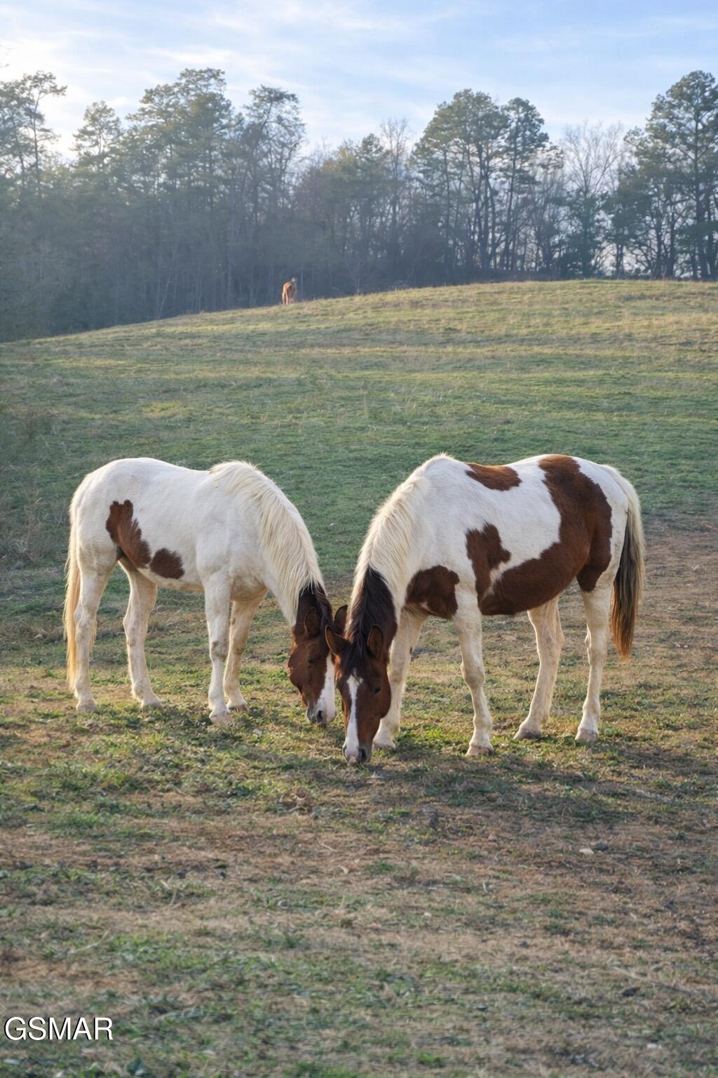 Lot 071 Goose Gap Sevierville TN 37876