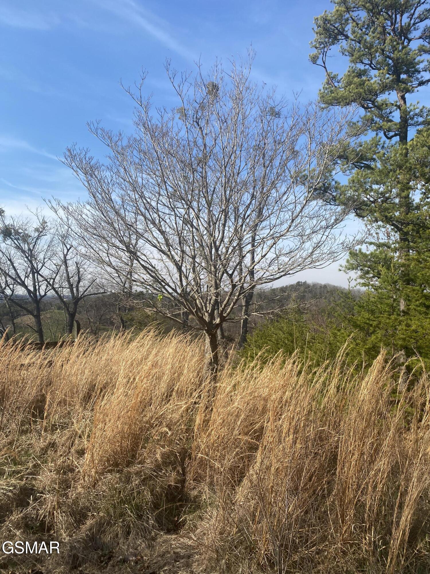 Lot 071 Goose Gap Sevierville TN 37876