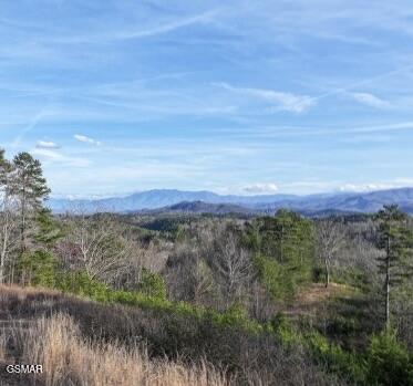 Lot 071 Goose Gap Sevierville TN 37876