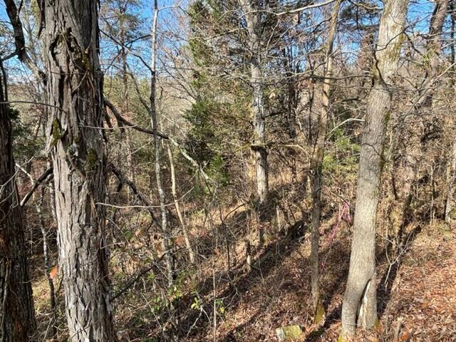 Lot 71 Happy Hollow Lane Sevierville TN 37876