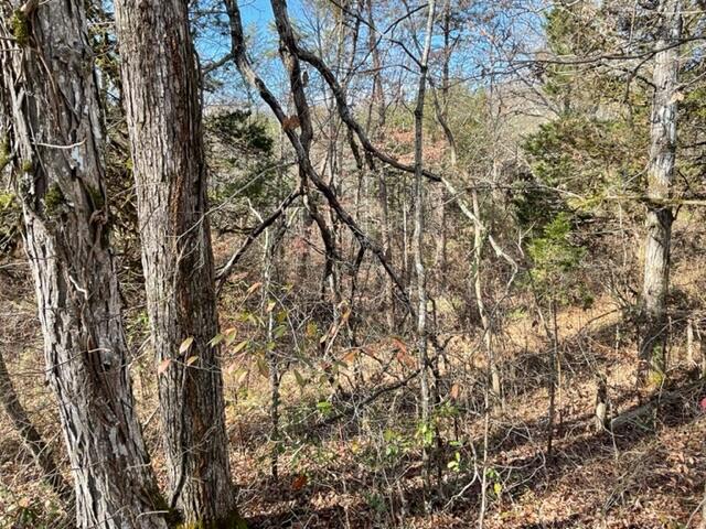Lot 71 Happy Hollow Lane Sevierville TN 37876