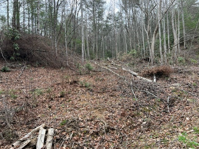 Lot 3d Coy Rhea Way Sevierville TN 37876
