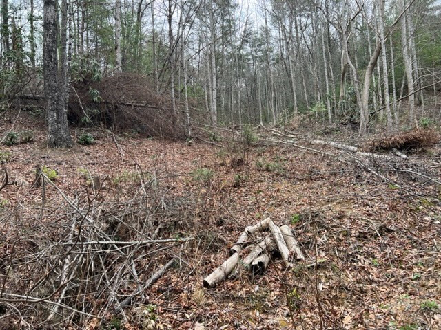 Lot 3d Coy Rhea Way Sevierville TN 37876