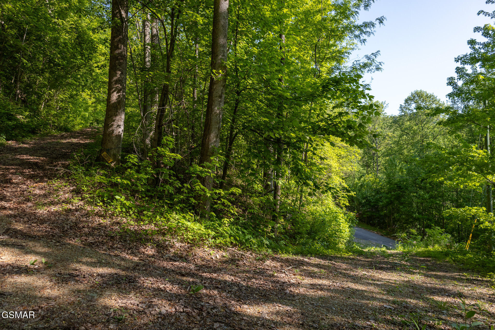 1017/1035 Big Buck Trail Townsend TN 37882
