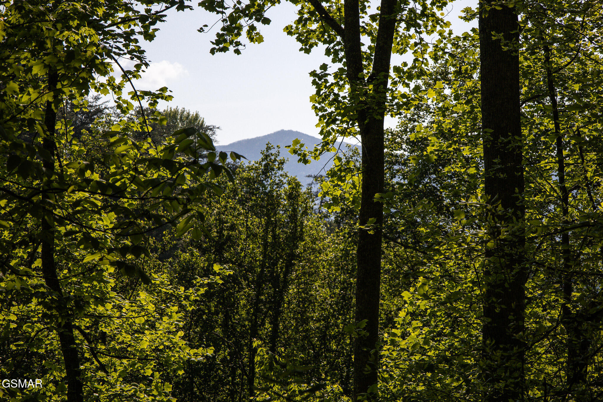 1017/1035 Big Buck Trail Townsend TN 37882