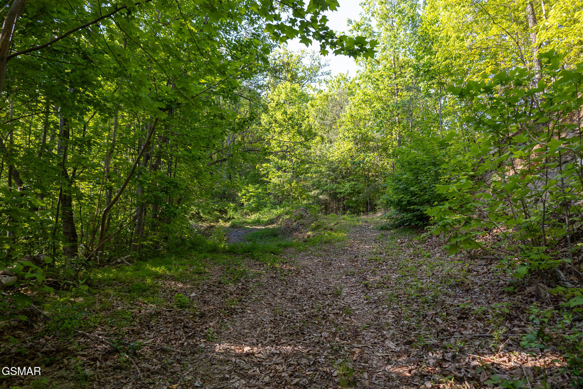 1017/1035 Big Buck Trail Townsend TN 37882