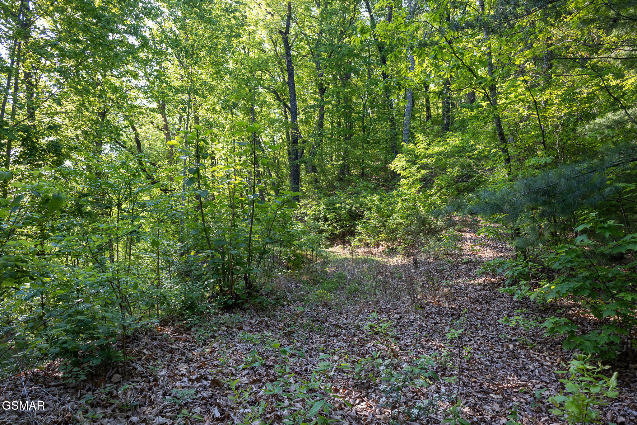 1017/1035 Big Buck Trail Townsend TN 37882