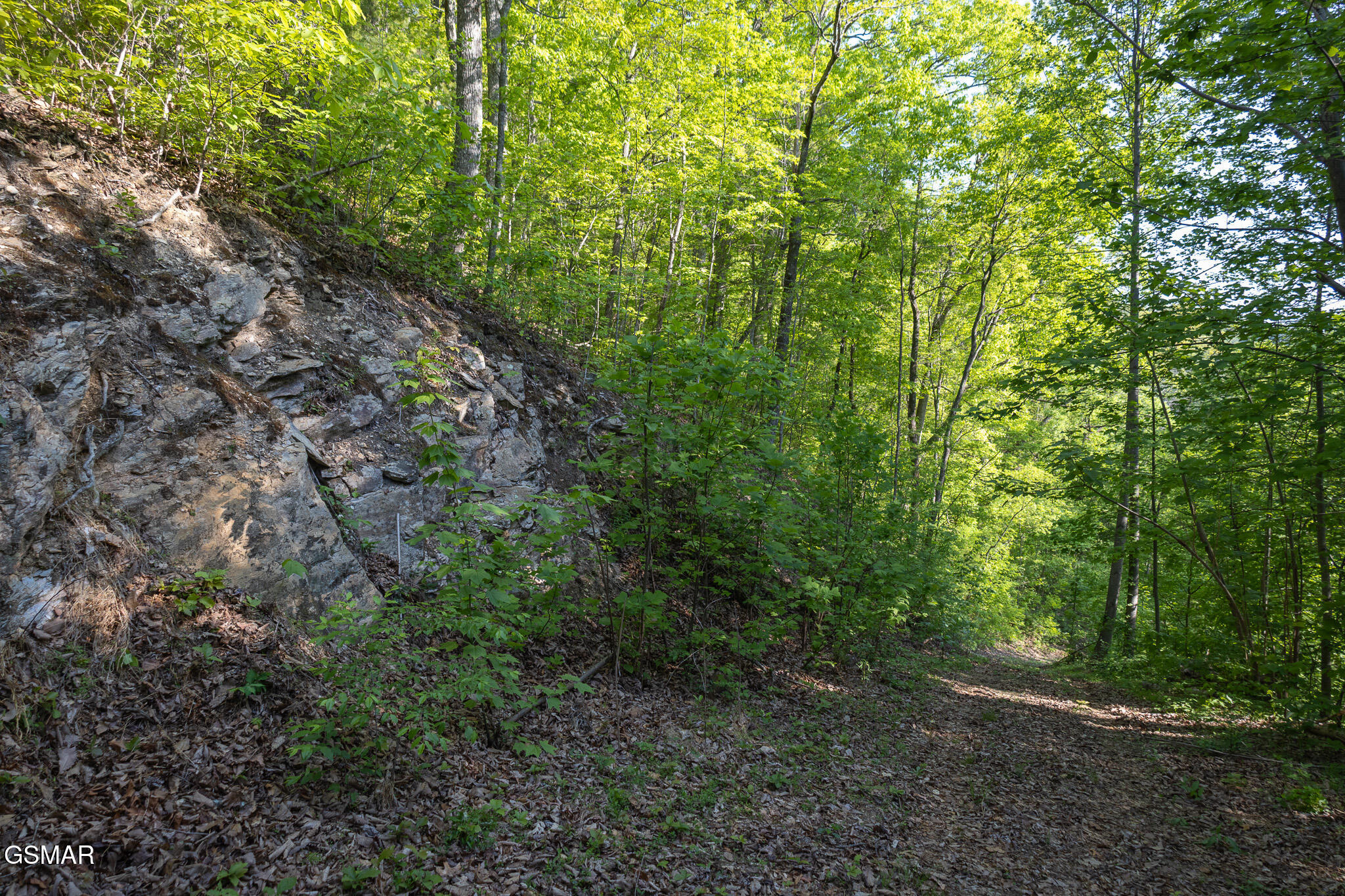 1017/1035 Big Buck Trail Townsend TN 37882