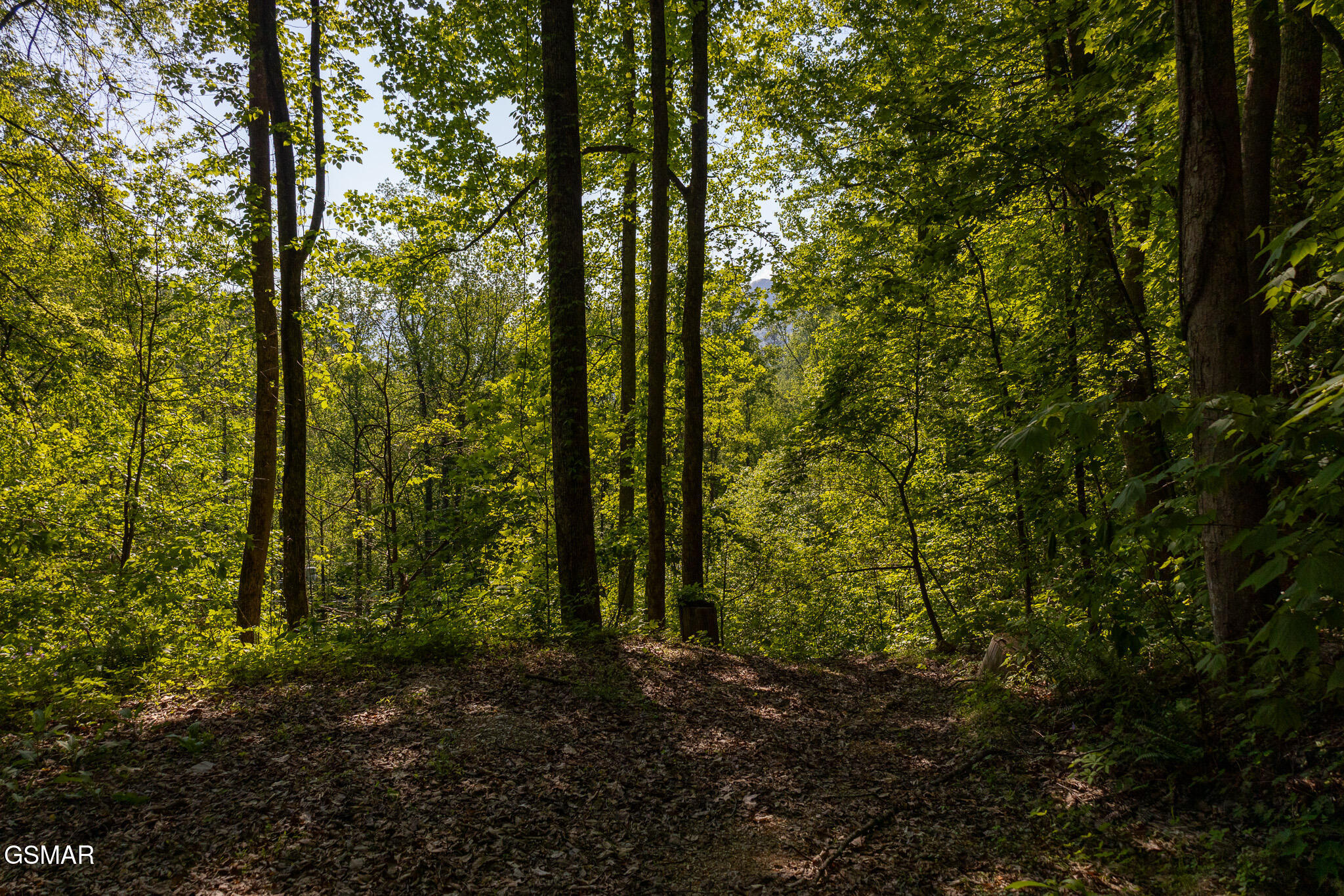 1017/1035 Big Buck Trail Townsend TN 37882