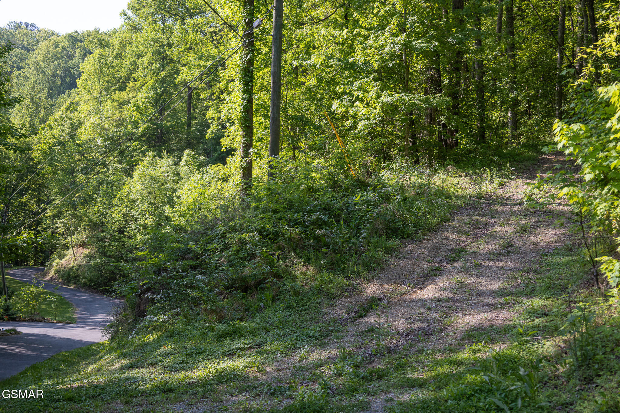 1017/1035 Big Buck Trail Townsend TN 37882